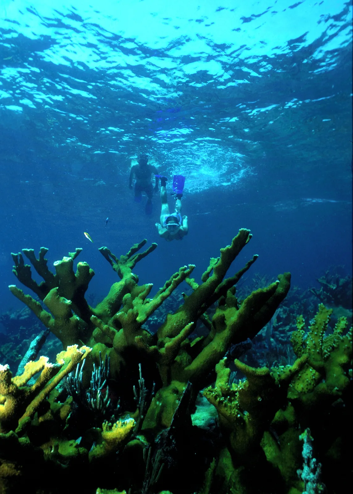 Biscayne National Park