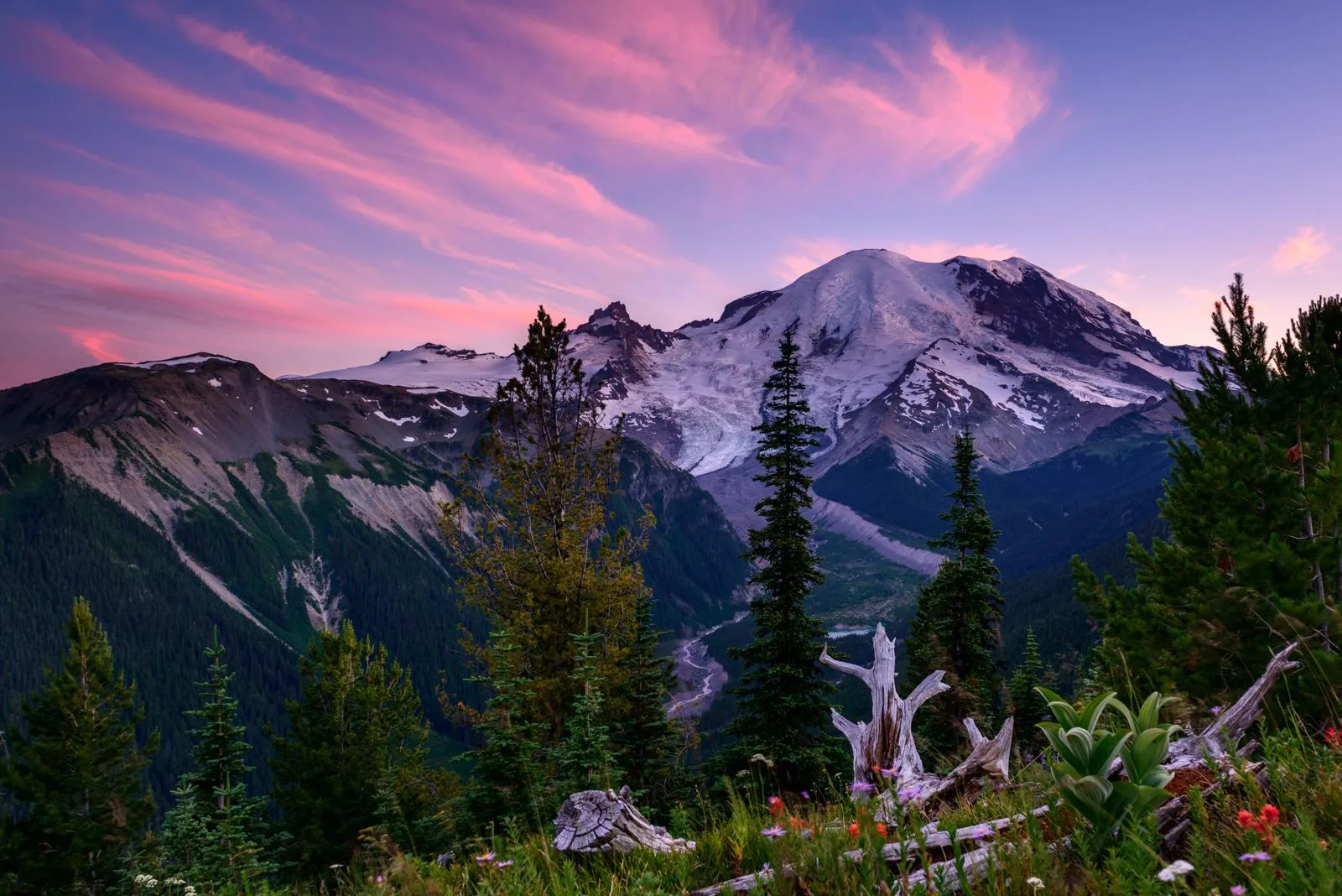 Mount Rainier National Park