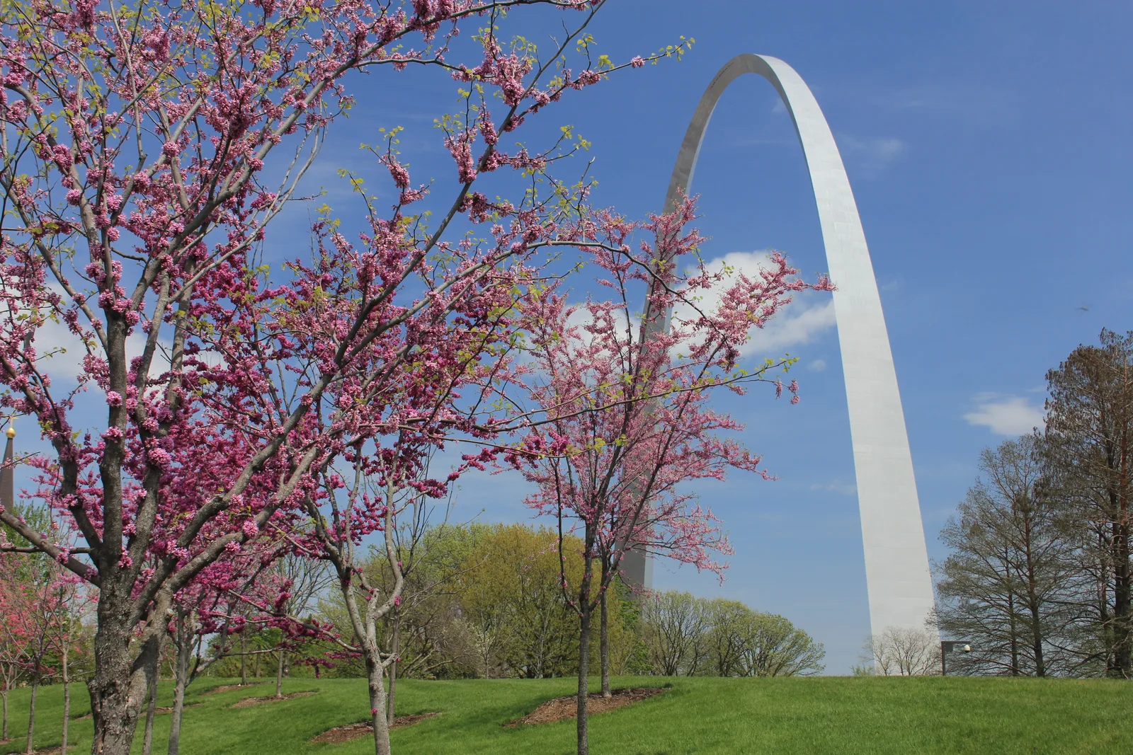 Gateway Arch